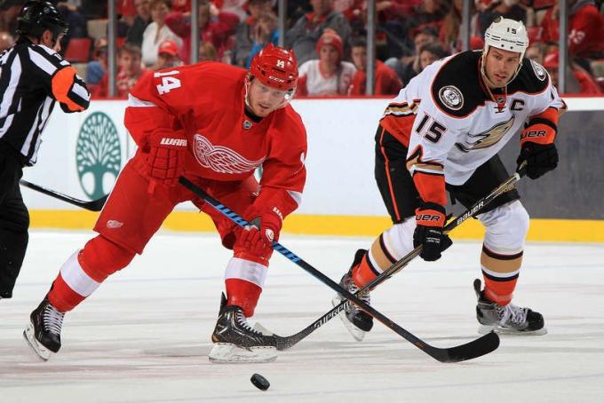 Detroit Red Wings vs. Anaheim Ducks at Little Caesars Arena