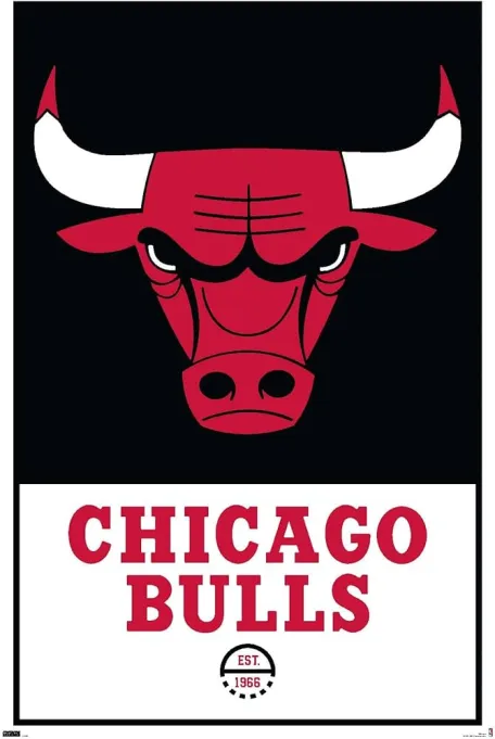 Detroit Pistons vs. Chicago Bulls